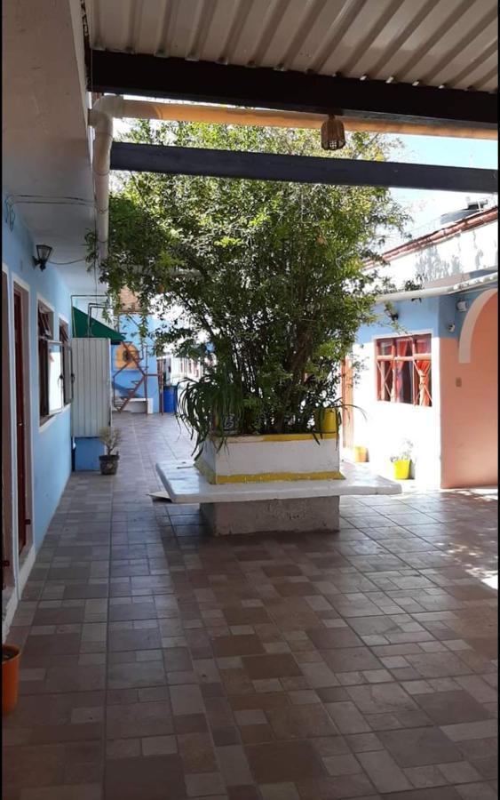 Hotel Reforma Inn Querétaro Eksteriør billede